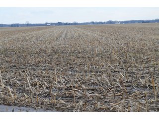 Property photo 19 - 173 +/- Acres Offered in 3 Tracts - Ohio Farmland